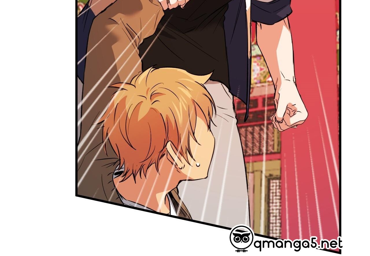 những chú thỏ của hapypy chapter 62 170