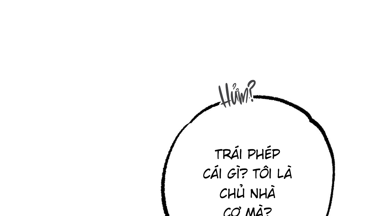 đàn thỏ của habibi chapter 51 239