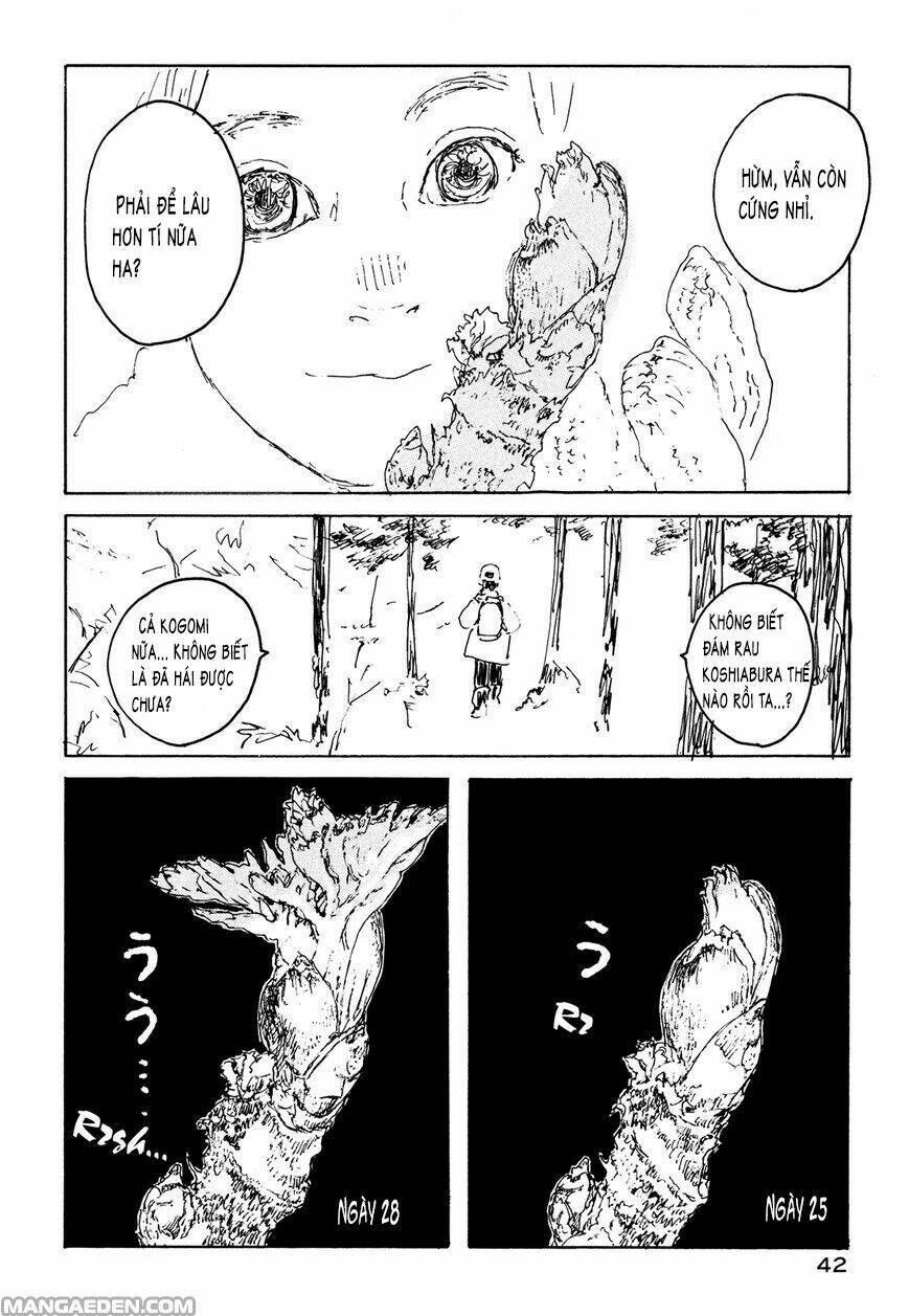 little forest chapter 21 5