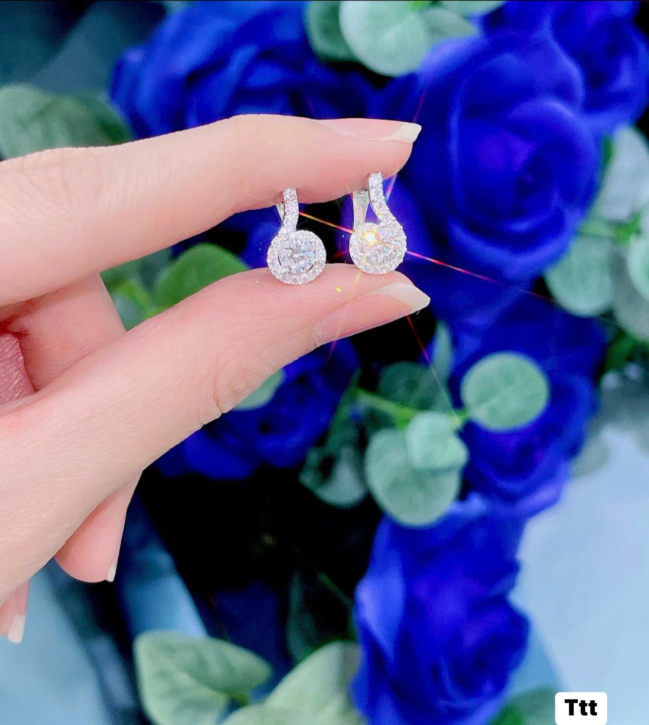Bông tai bạc thời trang chất liệu bằng bạc s925 MS0953