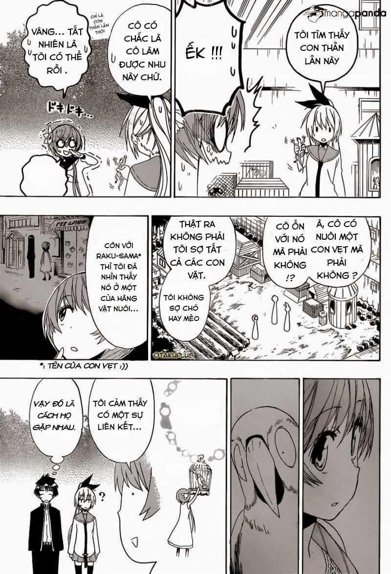 nisekoi - tình yêu giả tạo chapter 142 5