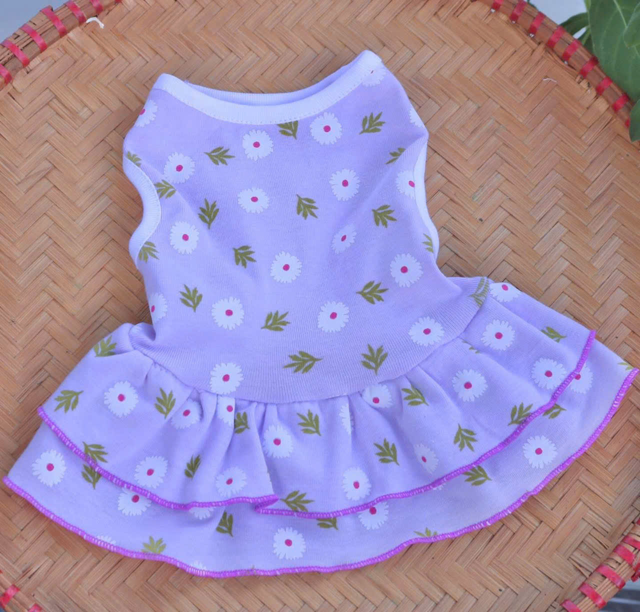 ĐẦM HOA CÚC TƯƠI MÁT DỄ THƯƠNG TỪ 0.5-12KG DÀNH CHO THÚ CƯNG CHÓ MÈO