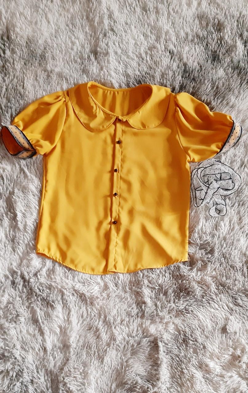 ÁO SƠ MI LỤA CỔ PETER PAN CÓ NƠ THẮT AM01