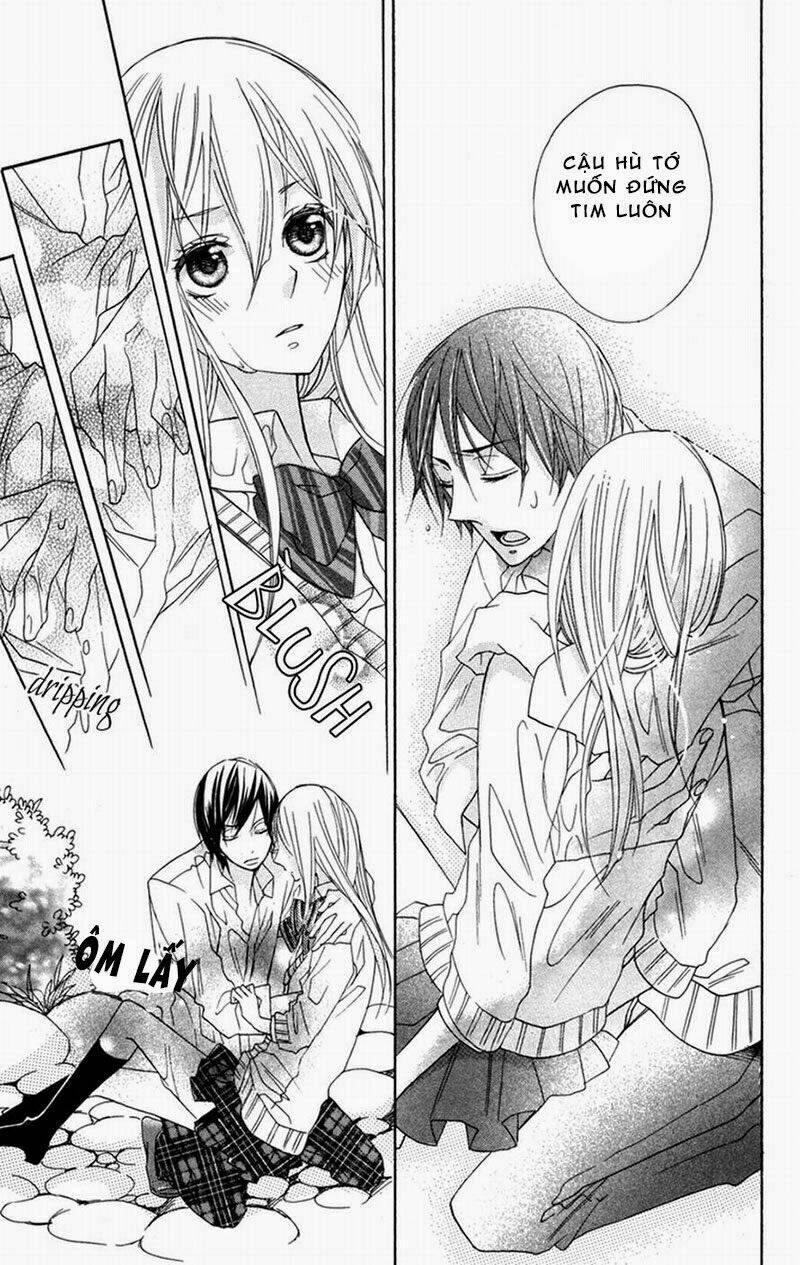 hoa hồng hoang dã chapter 4 32