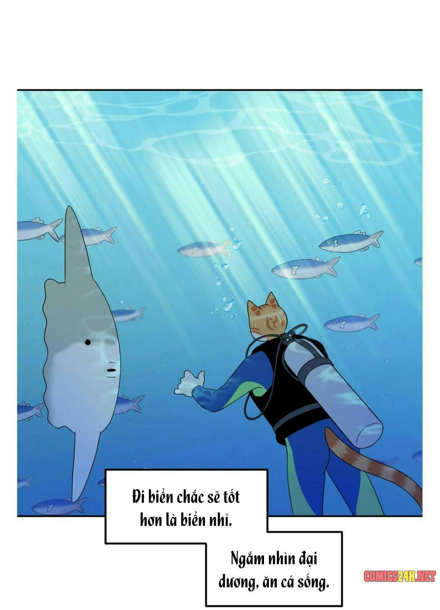 dự án xanh chapter 20 53