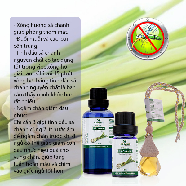 Combo 3 chai tinh dầu pơ mu + bạch đàn chanh + sả chanh (10ml x3)