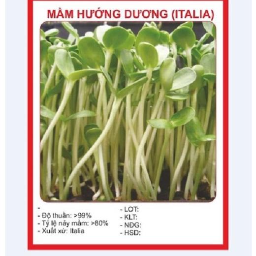 Hạt Giống Mầm Hướng Dương - 1Kg