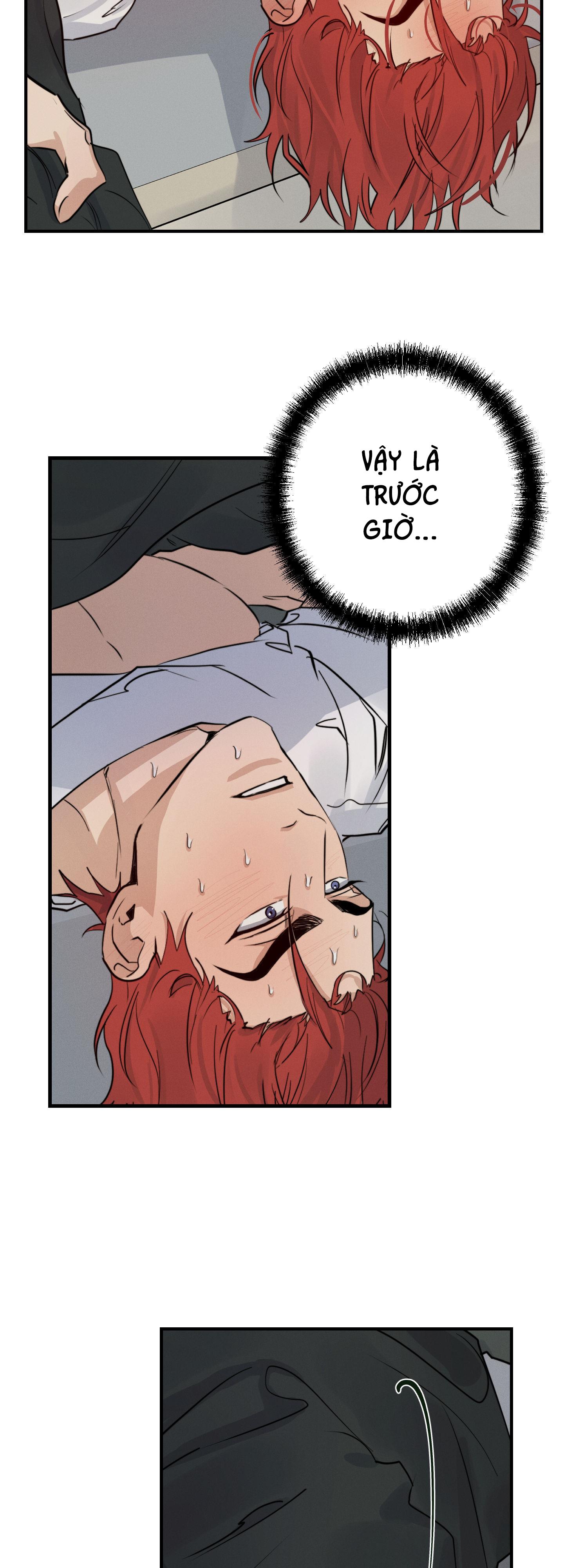 high clear chapter 19 54