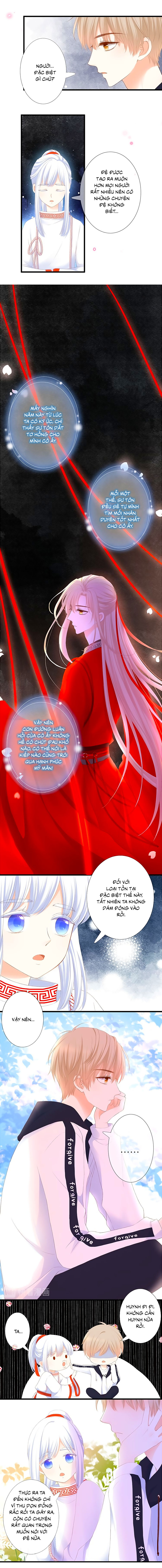 đóa hoa chớm nở chapter 29 6