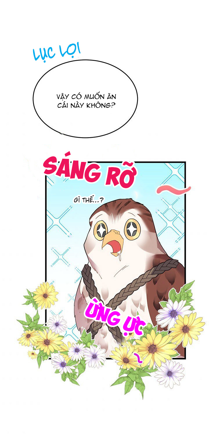 công chúa của loài chim chapter 4 26