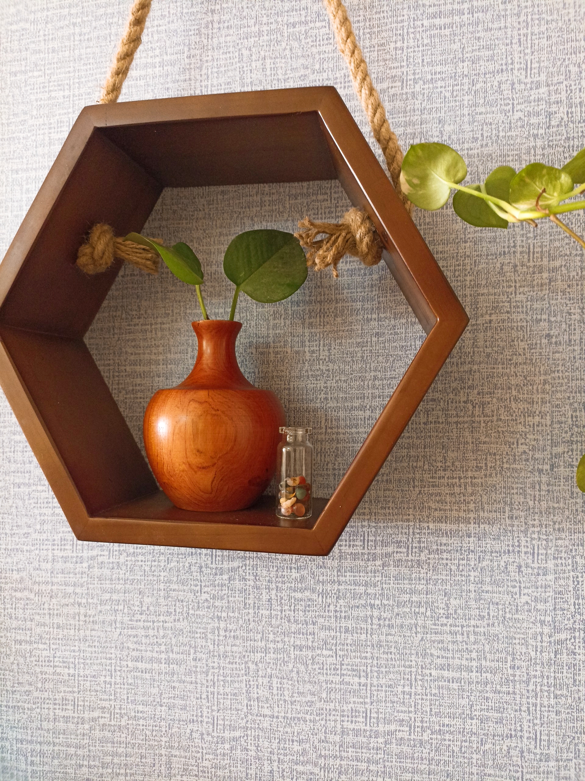 Kệ gỗ trang trí kệ lục giác treo dây độc đáo