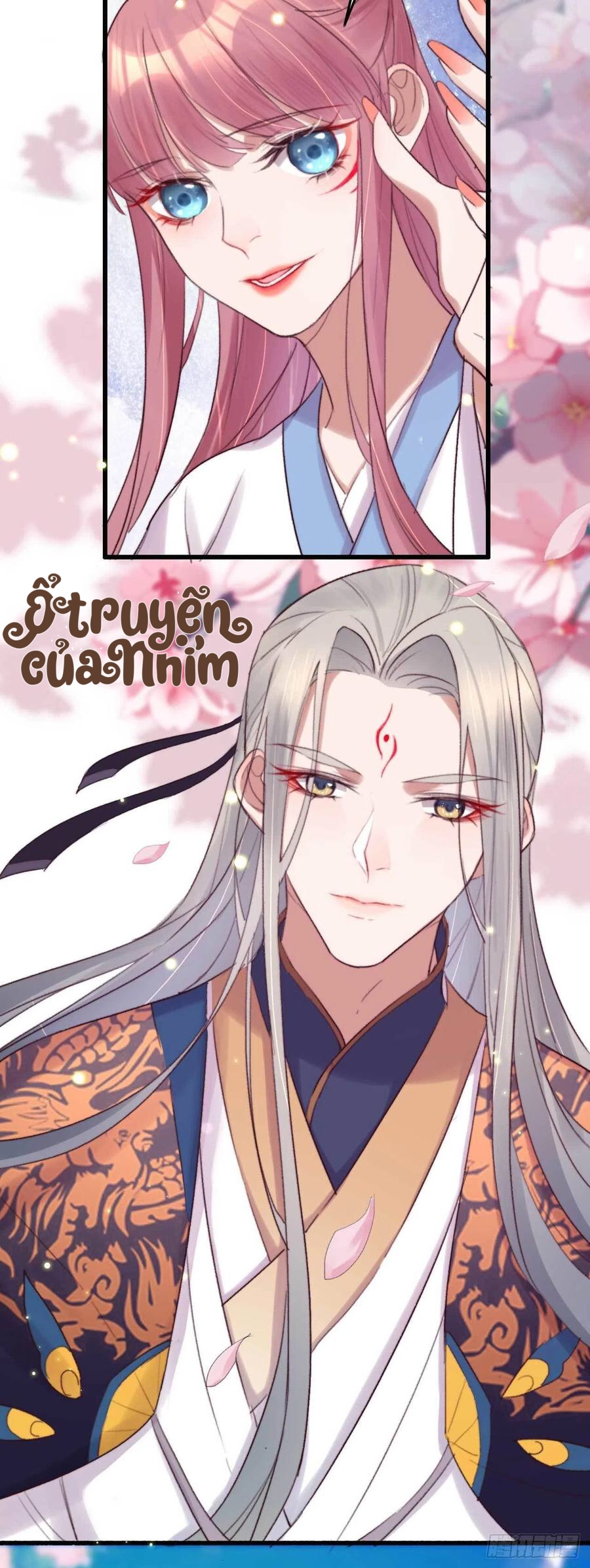 đế tôn cuồng sủng: thần y đặc công phế tài phi chapter 3 7