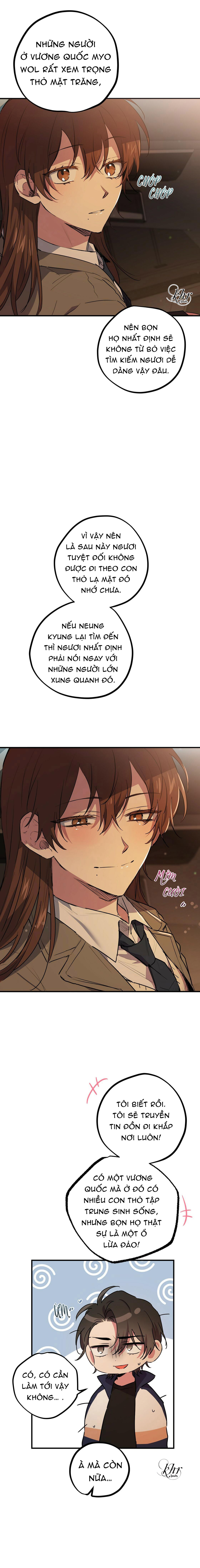 những chú thỏ của hapypy chapter 23 11