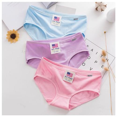 Quần lót nữ - Combo 5 - 10 quần lót cotton xuất Mỹ