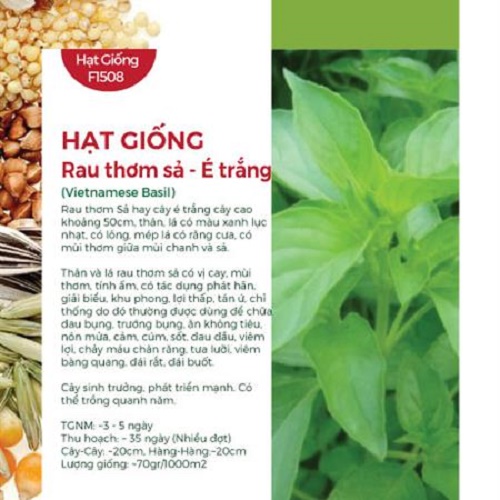 Hạt Giống Rau Thơm Sả - É Trắng (1gr)