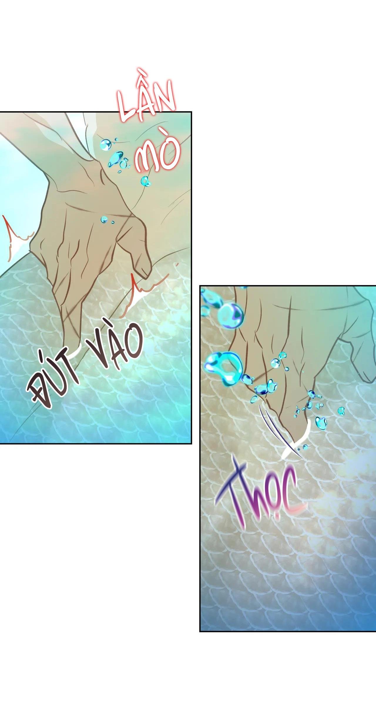 mỹ nhân ngư chapter 6 45