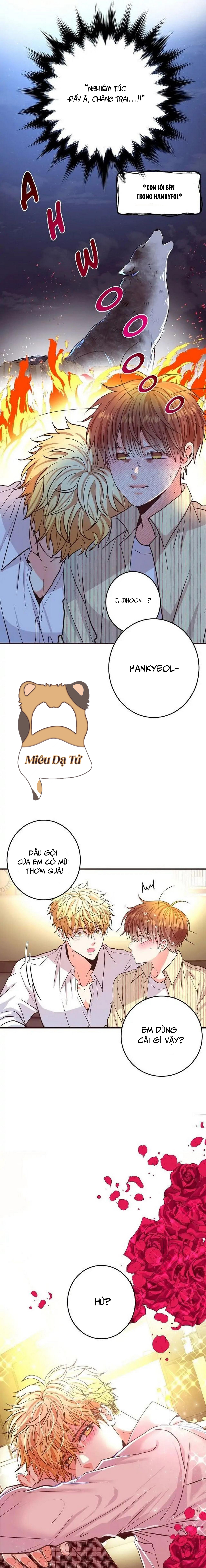 mối quan hệ phù hợp chapter 24 13