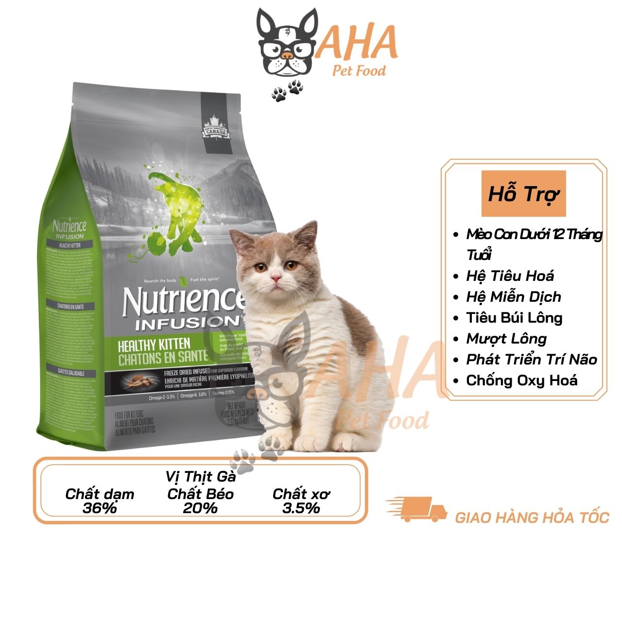 Thức Ăn Hạt Cho Mèo Nutrience Subzero Bao 500g – 4 Loại Thịt Cá, Rau Củ Quả, Trái Cây, Da Lông Bóng Mượt – Mèo Con Bao 500g