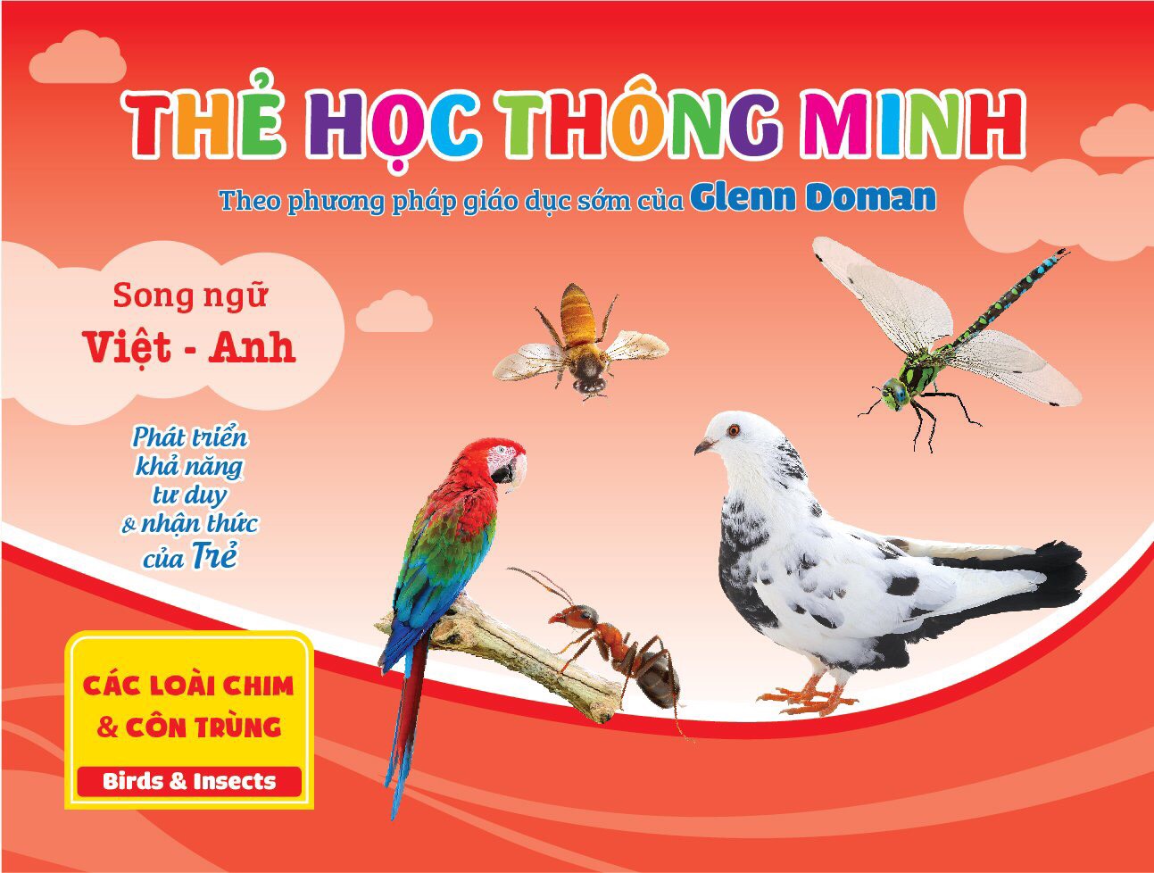 Flashcard cho bé theo phương pháp Glenn Doman - Bộ thẻ học thông minh
