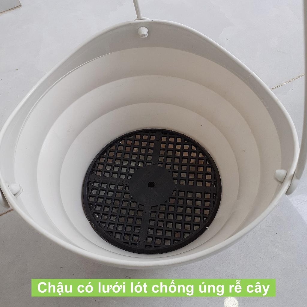 Chậu treo trồng cây kiểng ban công, sân vườn hình gân sóng