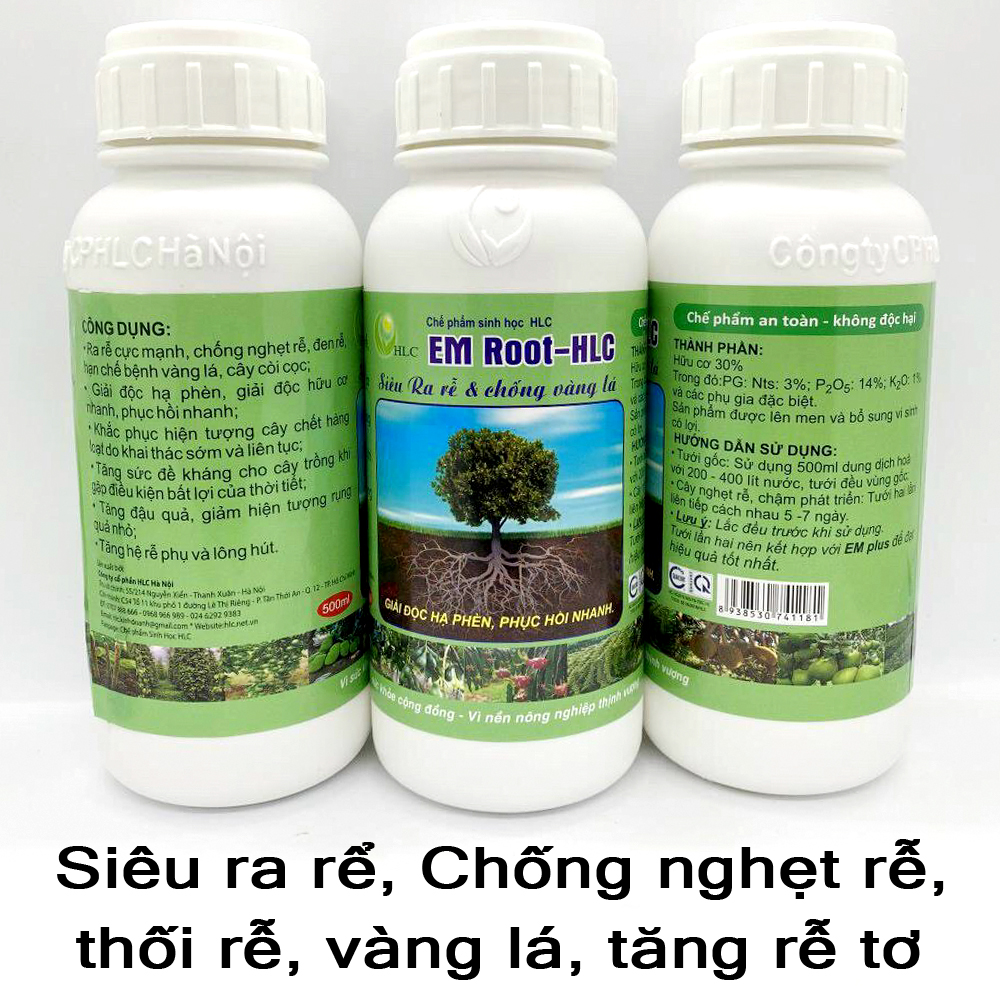 Siêu ra rễ giúp cây bắn rễ tơ chống nghẹt rễ, thối làm cây chậm phát triển-76121