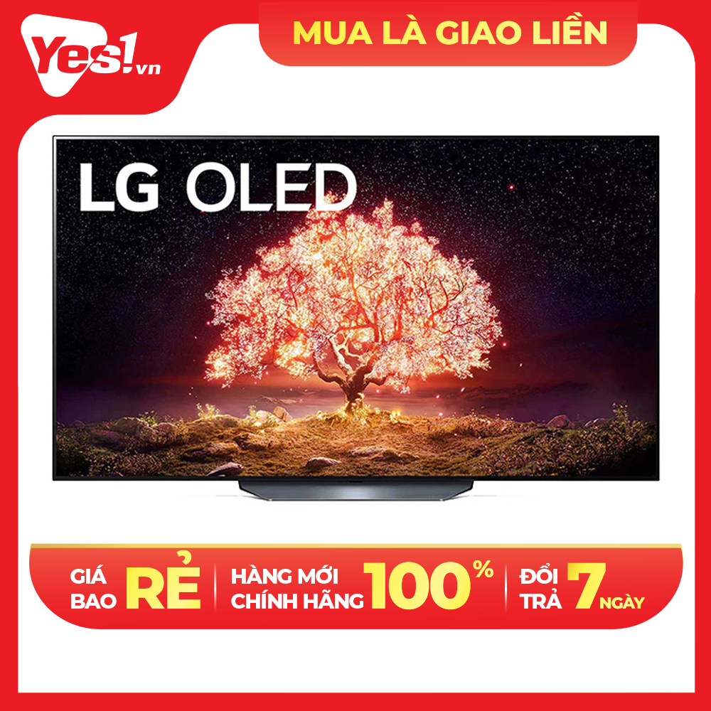 Smart Tivi OLED LG 4K 65 inch OLED65B1PTA