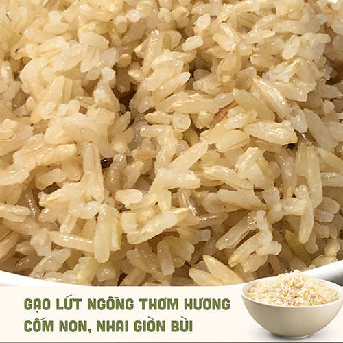 Gạo ruộng rươi ST25 xát lứt 5kg/3kg