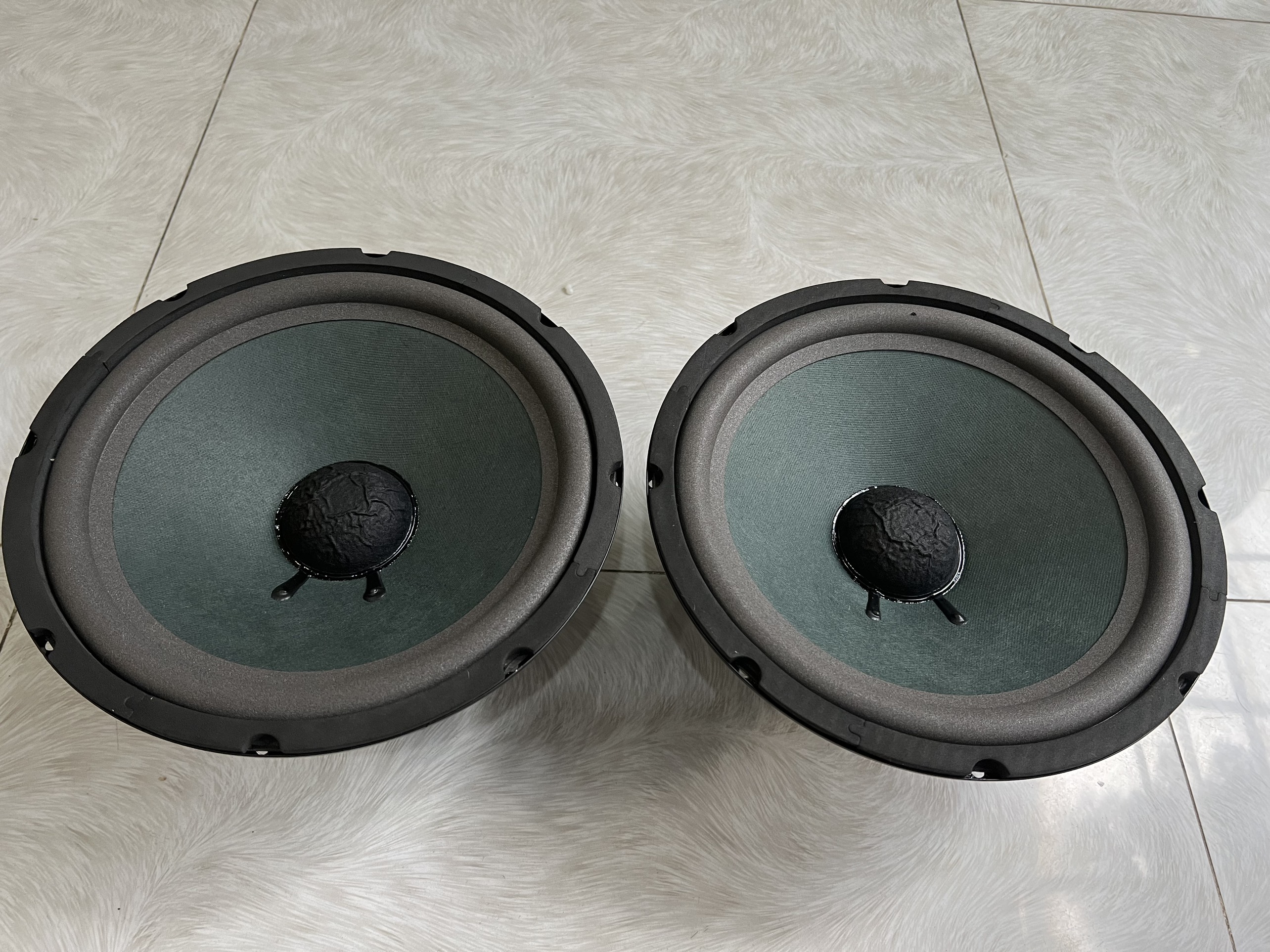 Loa bass 25 từ đôi (từ kép) cao cấp Hải Triều (hàng chính hãng) 1 cặp 