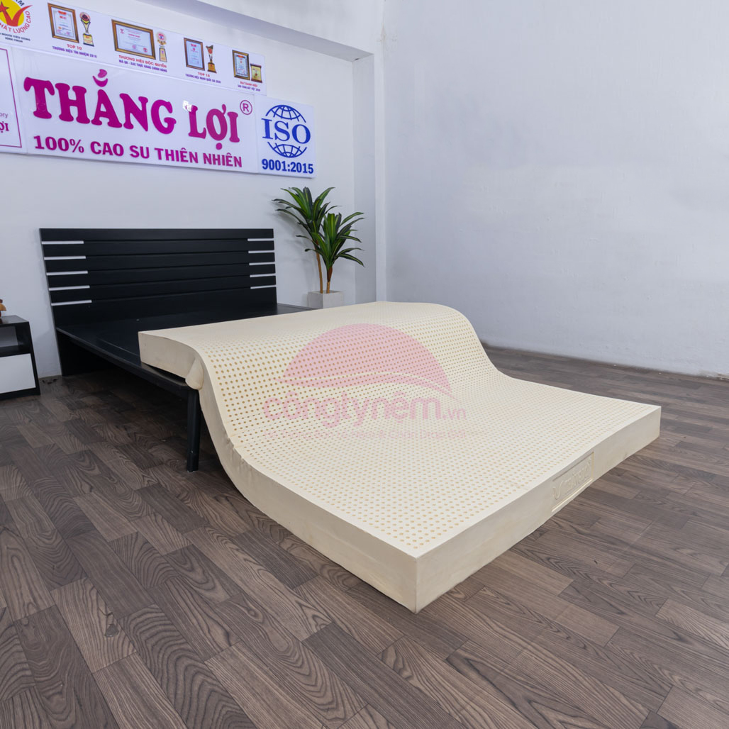 Nệm cao su thiên nhiên TL Sisi Tundo