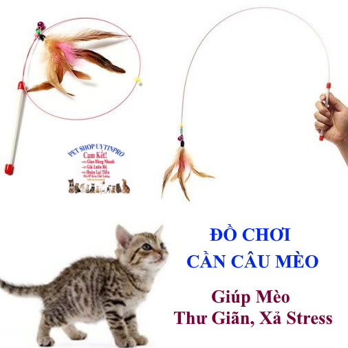 Đồ chơi cần câu cho Mèo giải trí Cần màu trắng Dây thép dẻo dai Kèm chuông Giúp Mèo thư giãn, xả stress