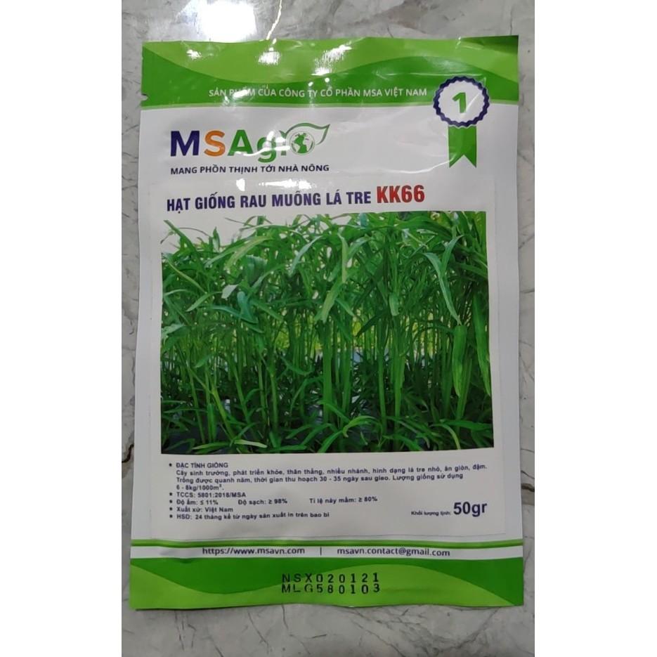 Hạt giống rau muống lá tre cao sản
