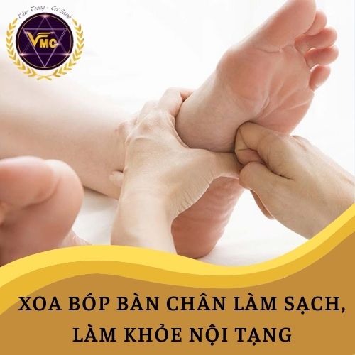 Khóa Học Video Online Xoa Bóp BÀN CHÂN Làm Khỏe Nội Tạng - Trung Tâm Chăm Sóc Sức Khỏe VMC