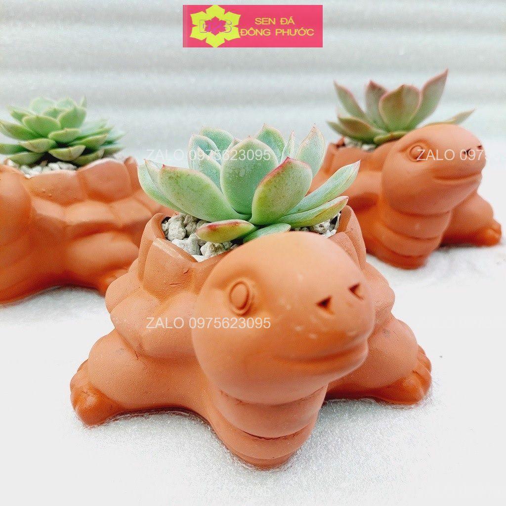 Chậu đất nung hình Cún con 8x8cm - chậu trồng tiểu cảnh sen đá, xương rồng, cây phong thuỷ văn phòng đẹp