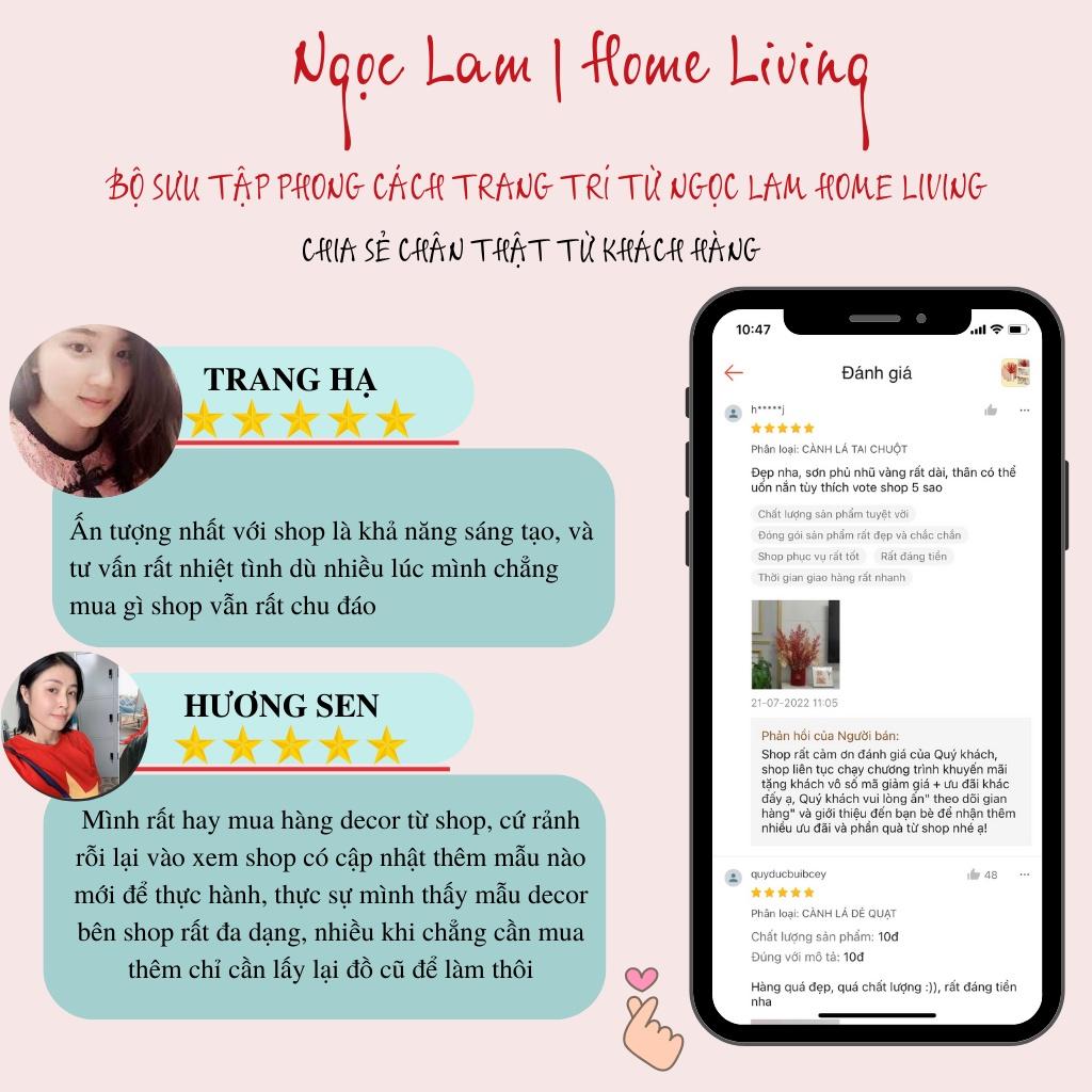 Cành đào đông đỏ 6 nhánh, 12 nhánh quả đều không dính sơn dùng trang trí spa, studio, đại sảnh, nhà hàng, phòng ngủ