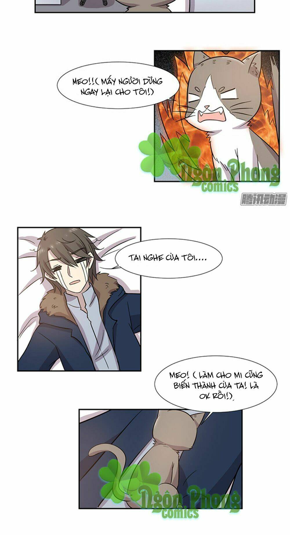 hai chú mèo totem chapter 28 12