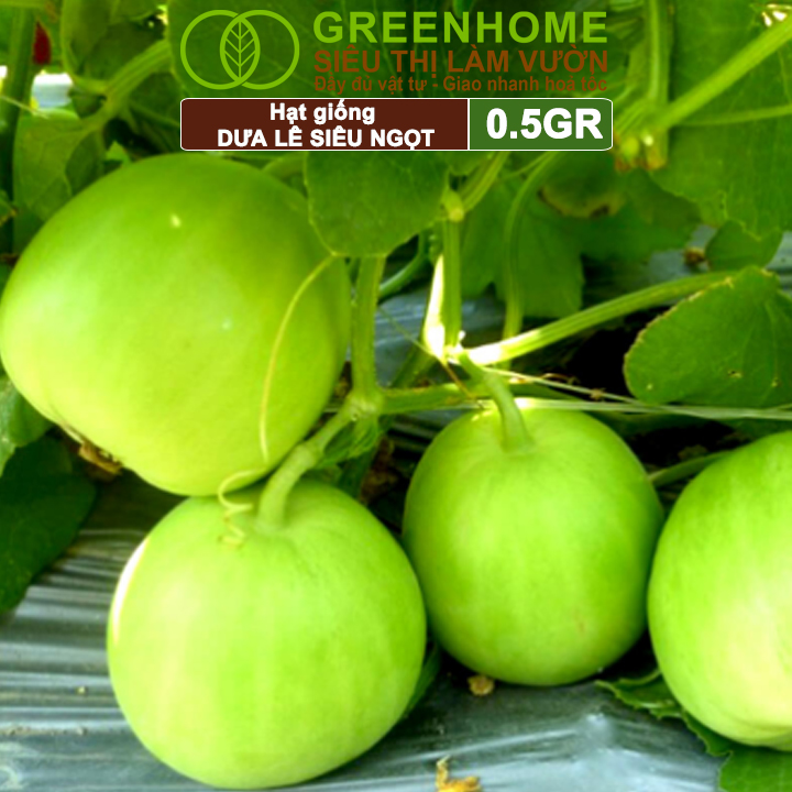 Hạt Giống Dưa Lê Popoca Siêu Ngọt, Greenhome, Gói 0.5GR, Dễ Trồng Quanh Năm, Nảy Mầm Cao, T25