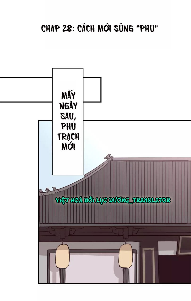 chỉ phu vi thê chapter 28 1
