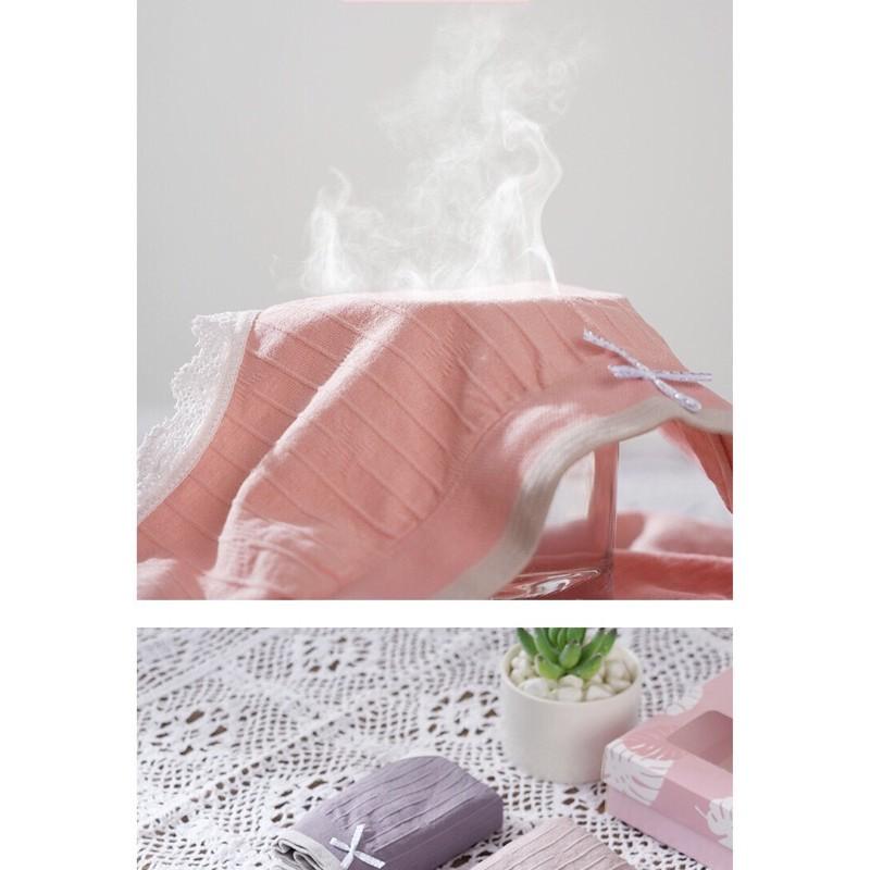 Hộp 5 Quần Lót Cotton Thiên Nga Dễ Thương Co Giãn 4 Chiều Cao Cấp