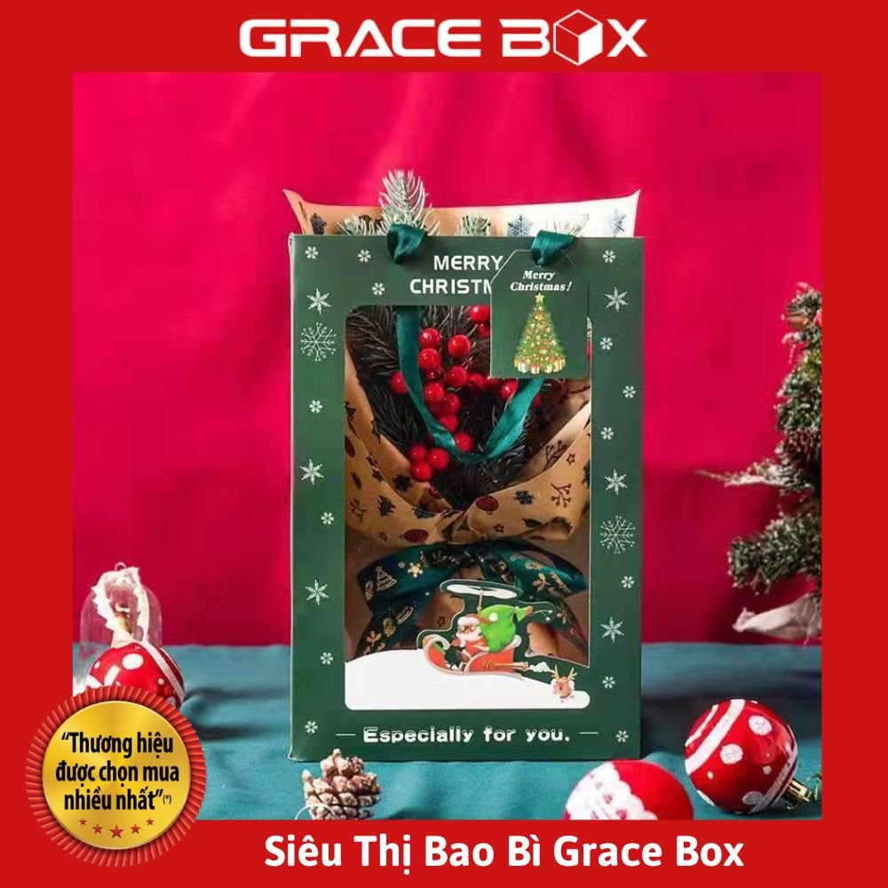 Túi Giấy Quà Tặng Giáng Sinh - Noel - Show Window Cao Cấp - Siêu Thị Bao Bì Grace Box