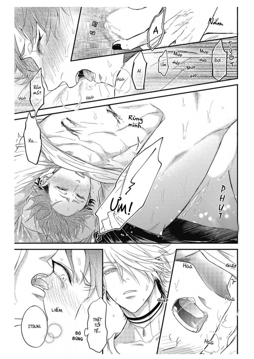 [18+] vết cắn tình yêu khô khan và giả dối chapter 2 32