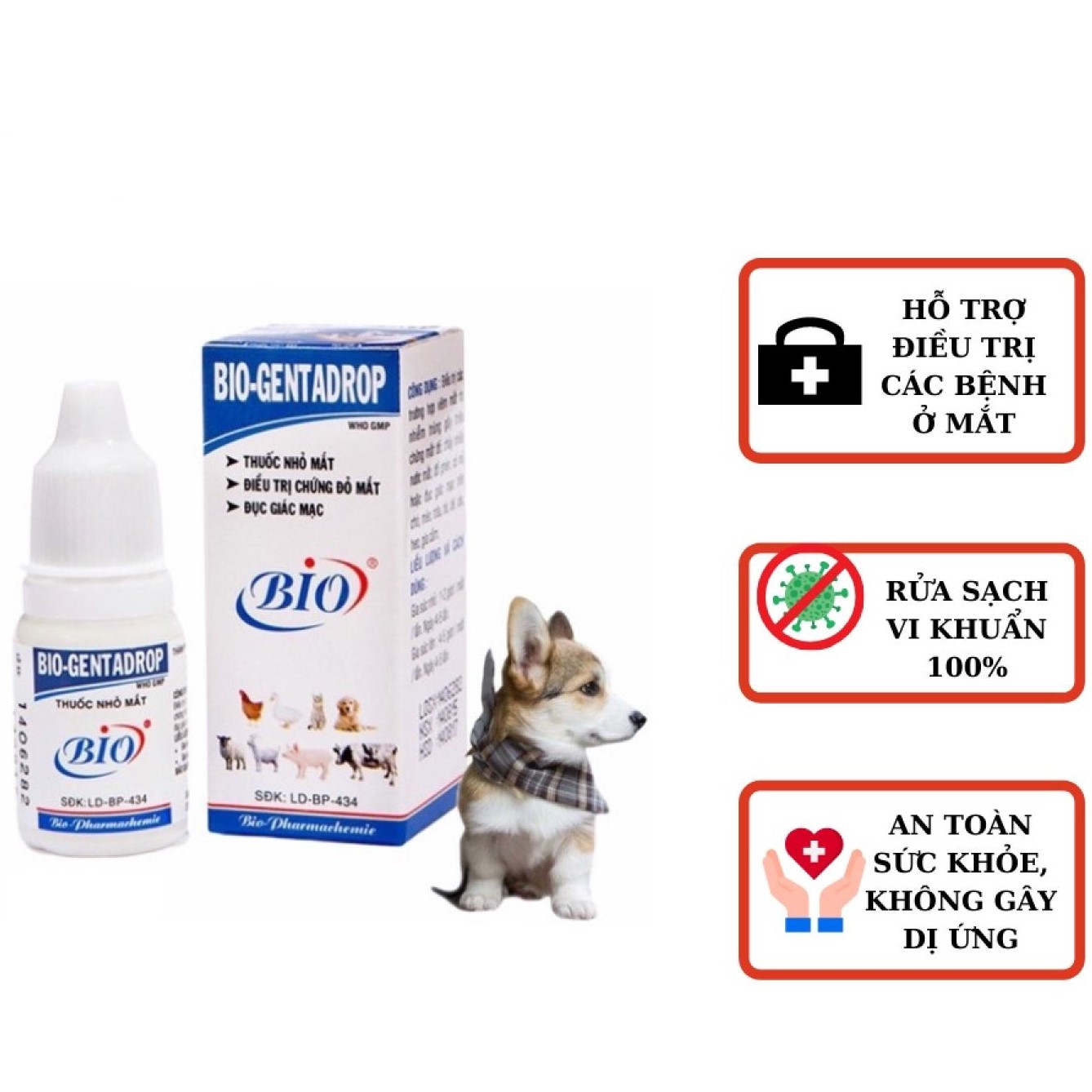 Nhỏ mắt Bio-Gentadrop chó mèo mắt đỏ, viêm, ghèn, có mủ chai 10ml