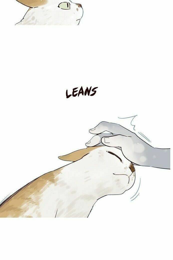 biến thân thành mèo chapter 7 13