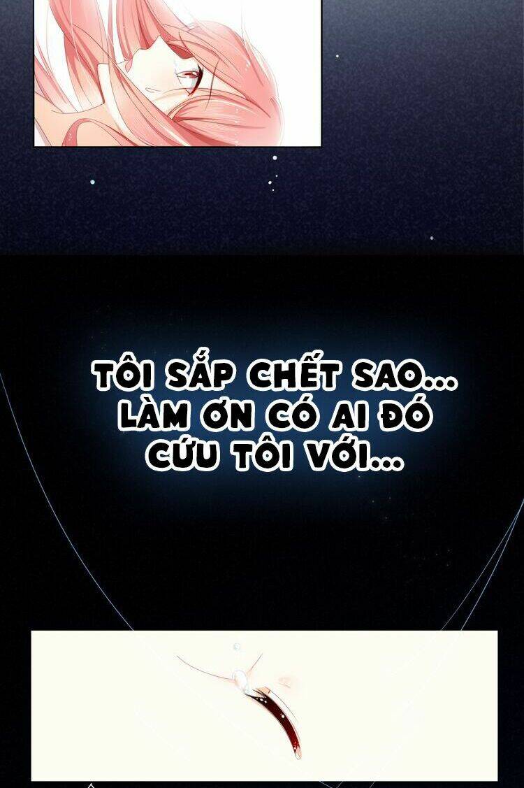 sói và chỉ huy chapter 0 8