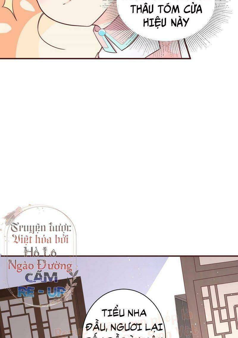 quận chúa vững vàng, thiết lập nhân vật không thể vỡ chapter 1 50