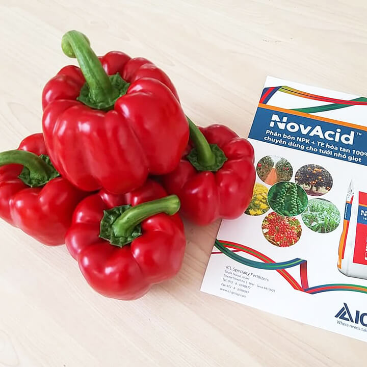 Phân Bón Israel NovAcid Calcium 15.5-0-0 , Hoà Tan 100% Hạn chế rụng trái non, tăng đậu trái và sức đề kháng cho cây trồng