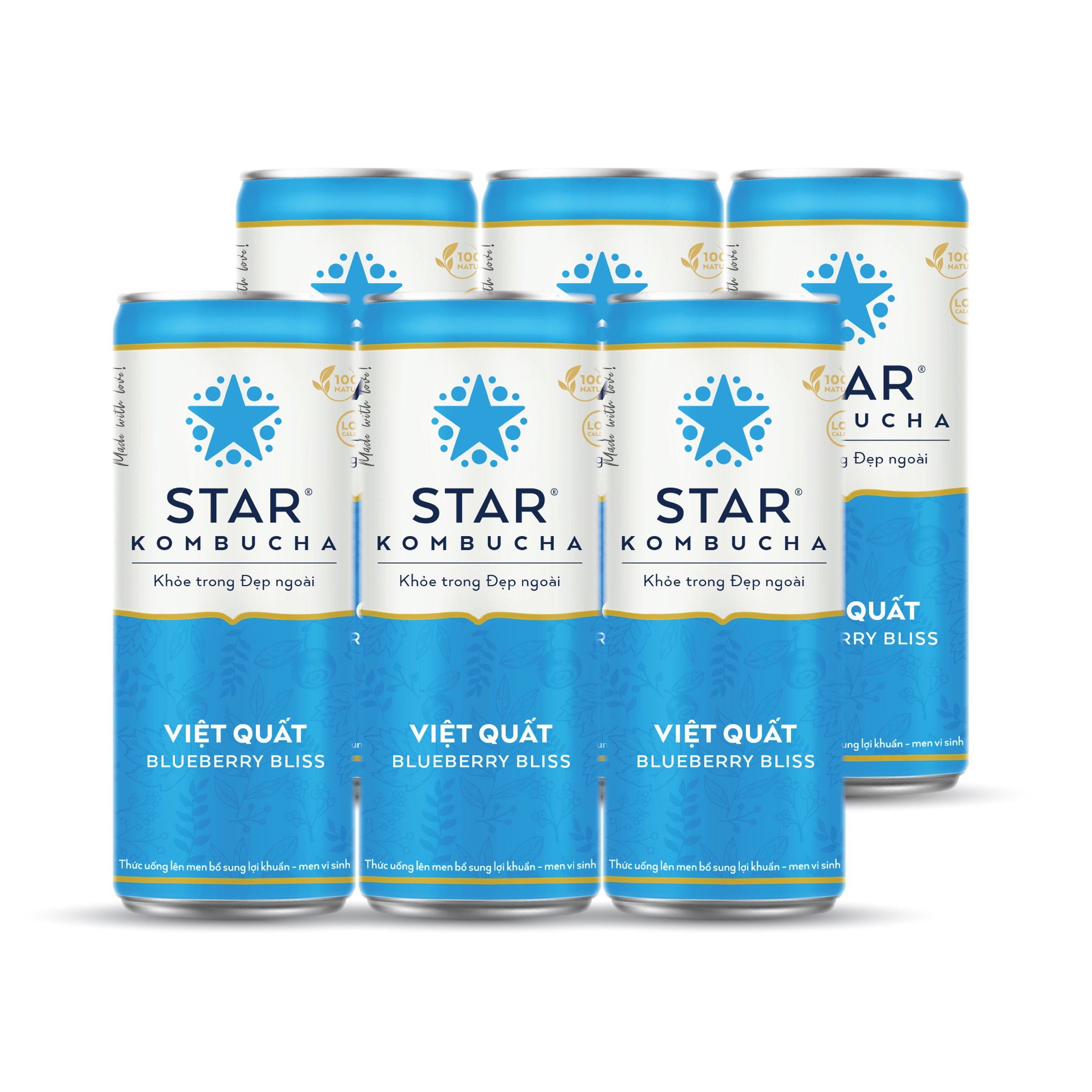 Lốc 6 lon thức uống lên men STAR KOMBUCHA Việt Quất / Blueberry Bliss