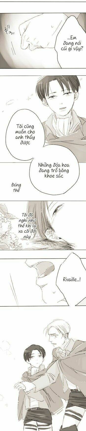 tấn công người khổng lồ - doujinshi eruri chapter 25 8
