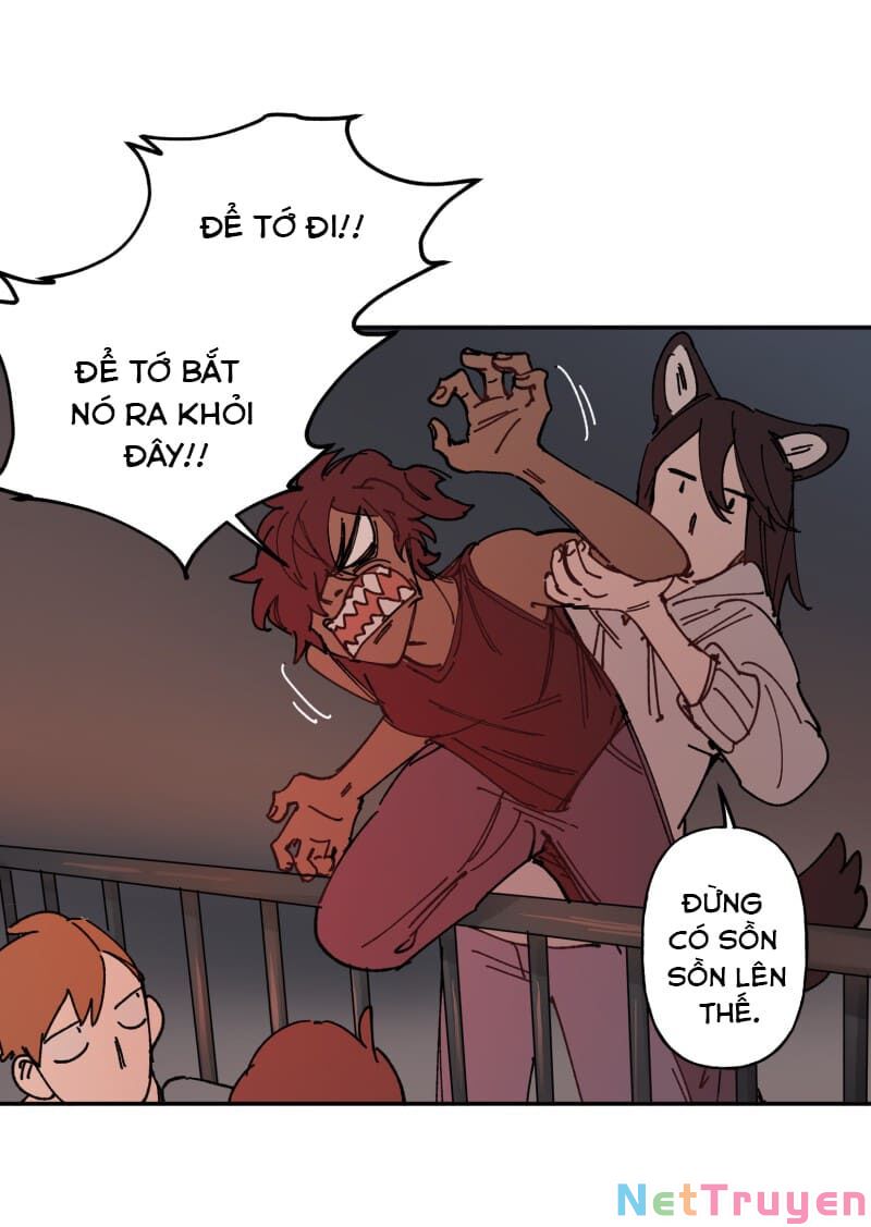 lumine - cội nguồn ánh sáng chapter 107 15