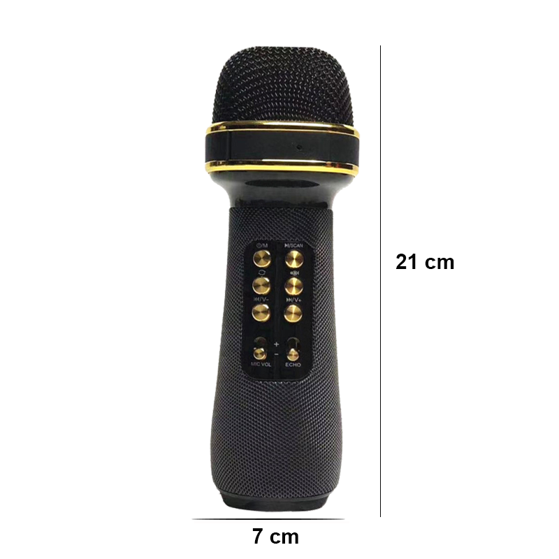 Micro Karaoke Bluetooth Không Dây PKCB312 - Hàng Chính Hãng