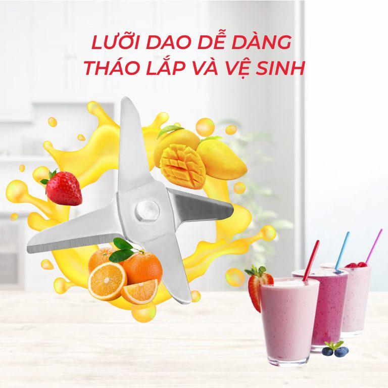 Máy xay sinh tố Rapido RB-300M - hàng chính hãng